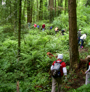 image of Forest Park