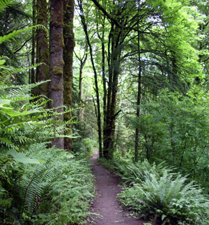image of Forest Park