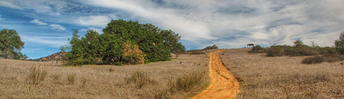 unpaved path leading up a hill