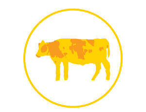 red meat pairs with red wine