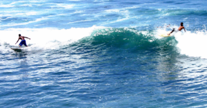 People Surfing