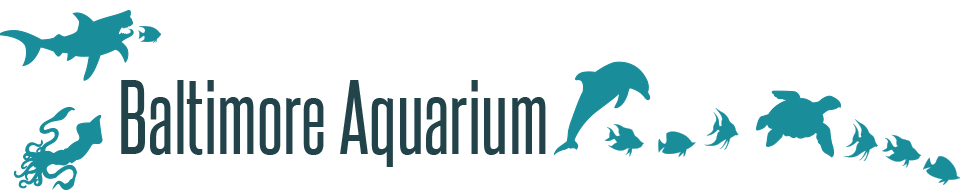 Baltimore Aquarium